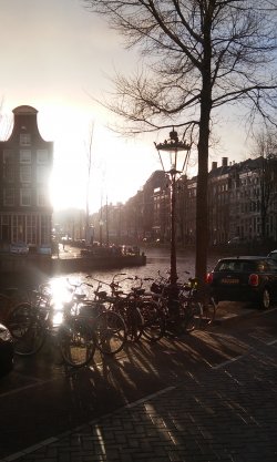 Sun in Amsterdam