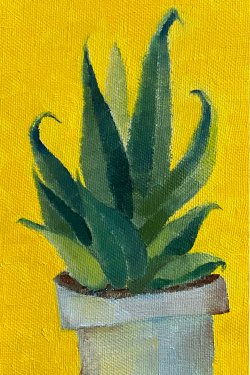Cactus on Yellow (Part 1)