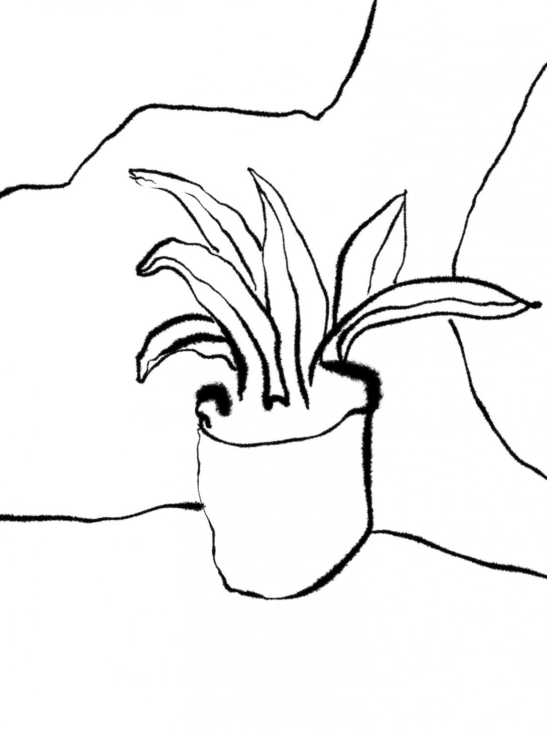 Plant